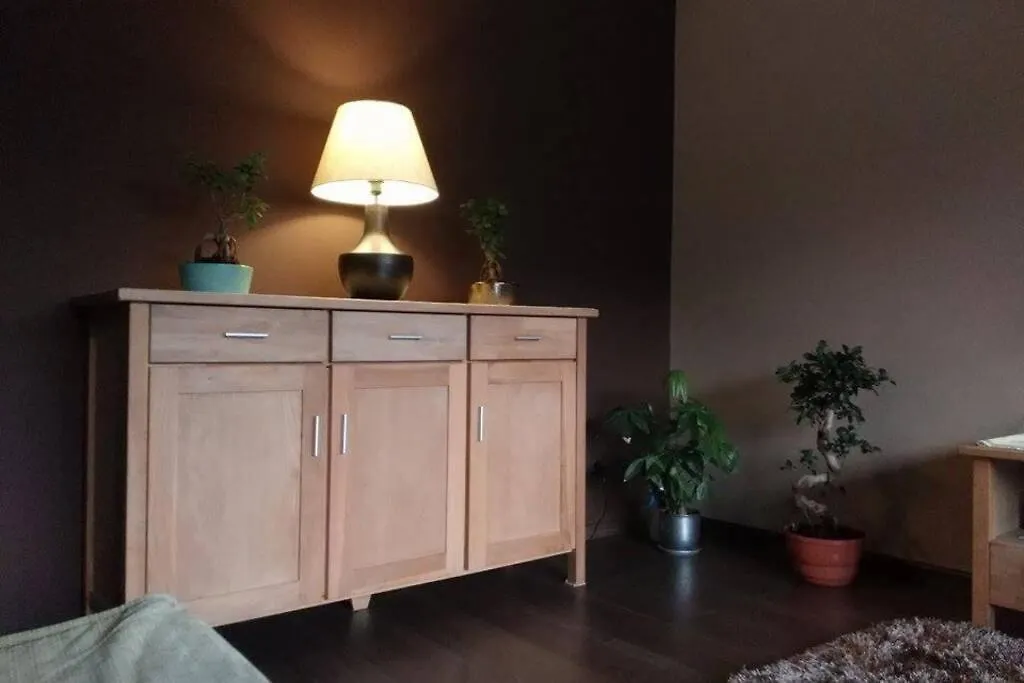 קרפאז' Apartament Rodzinny 2 Pokojowy. Widok Na Sniezke. 0*,