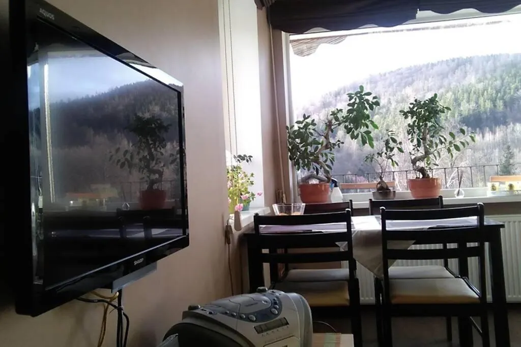 קרפאז' Apartament Rodzinny 2 Pokojowy. Widok Na Sniezke.